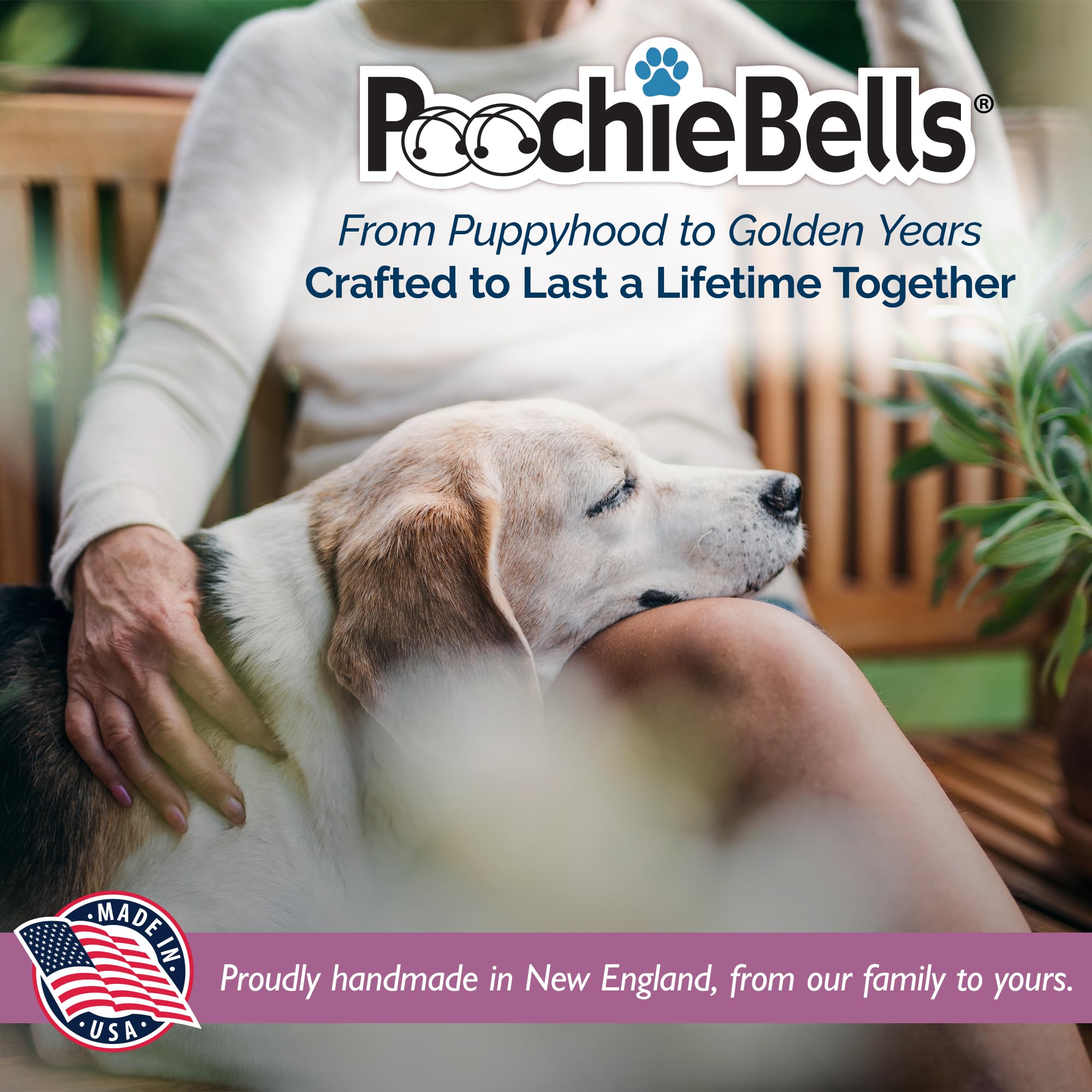 Two-height design by PoochieBells supports multi-dog homes and growing puppies