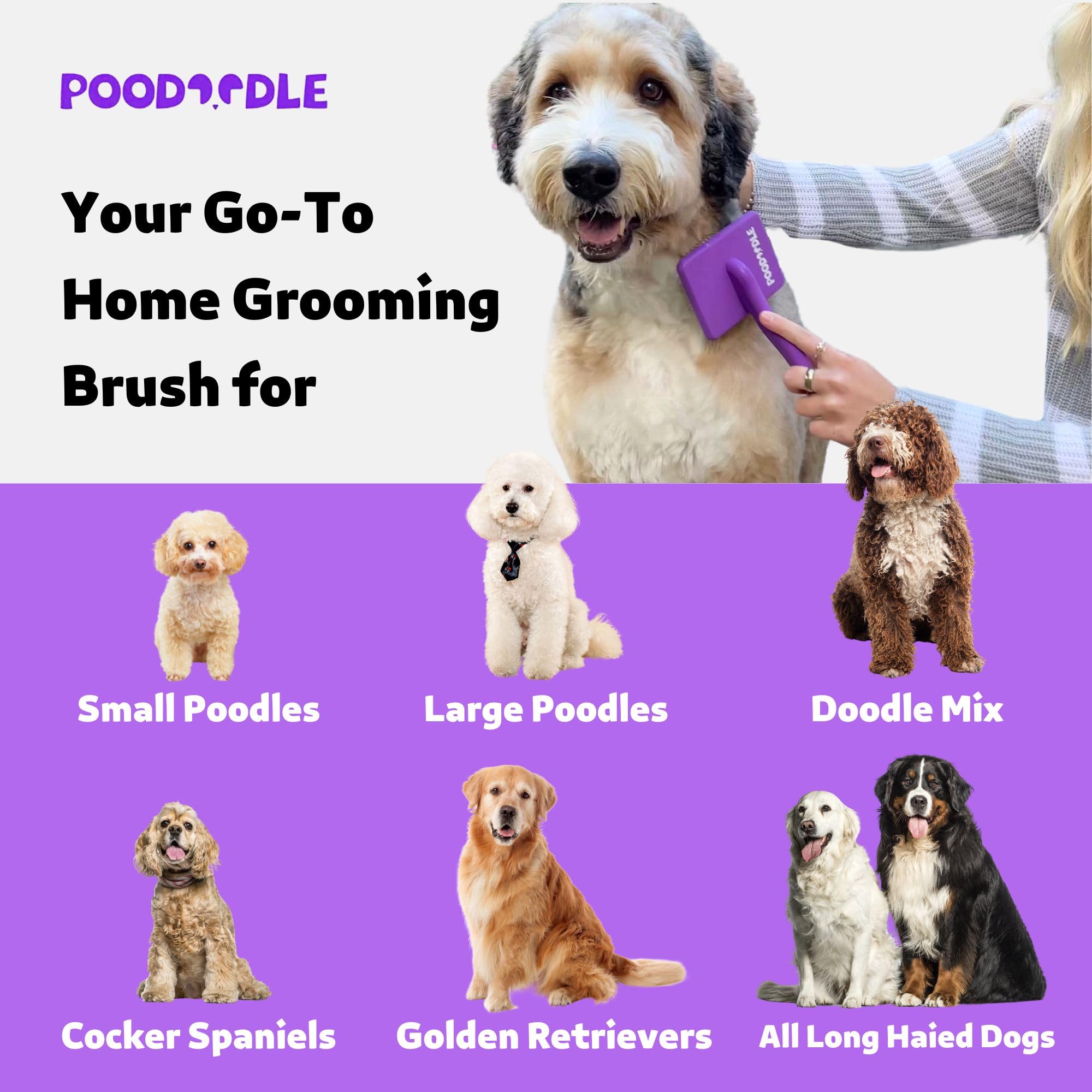 Poodoodle Small Slicker Brush purple shows 1-inch pins for tough mats.