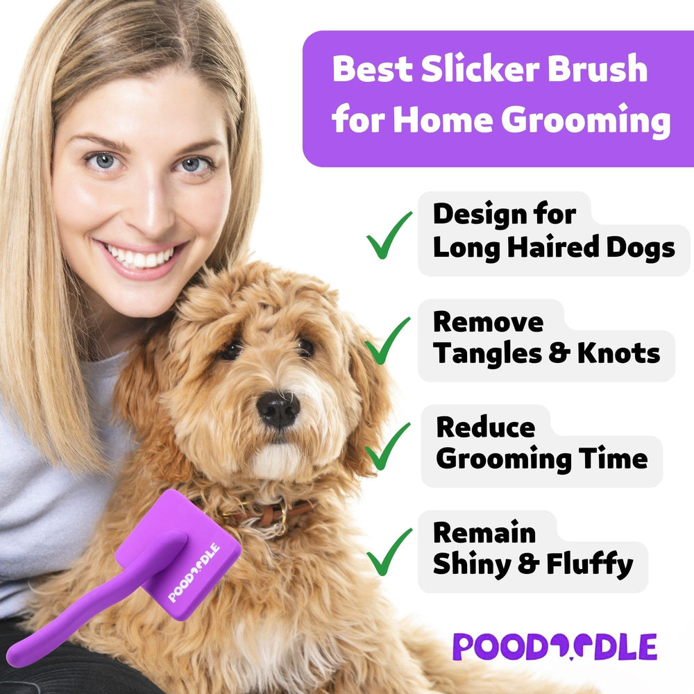 Poodoodle Small Slicker Brush purple cushioned pad for gentle grooming.