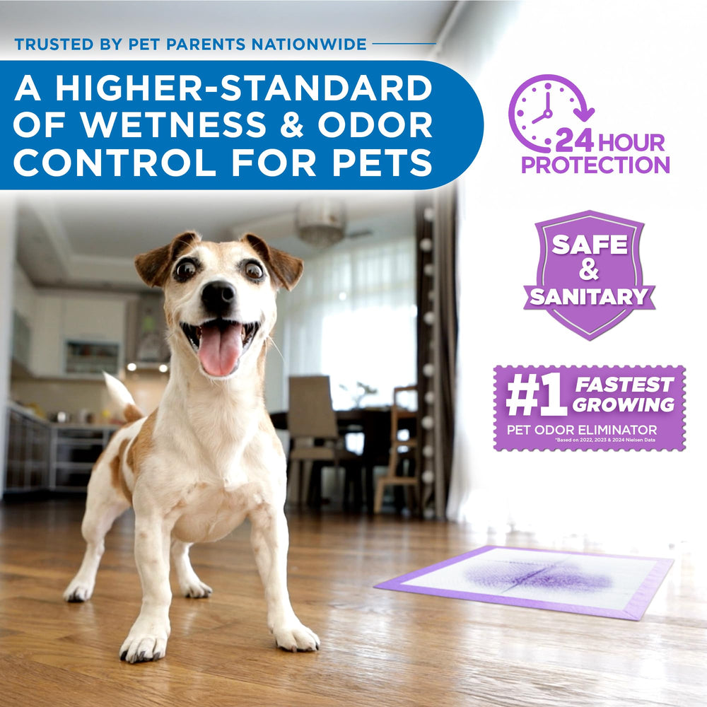 POOPH Potty Pads come in a 50-count pack for easy replacement.