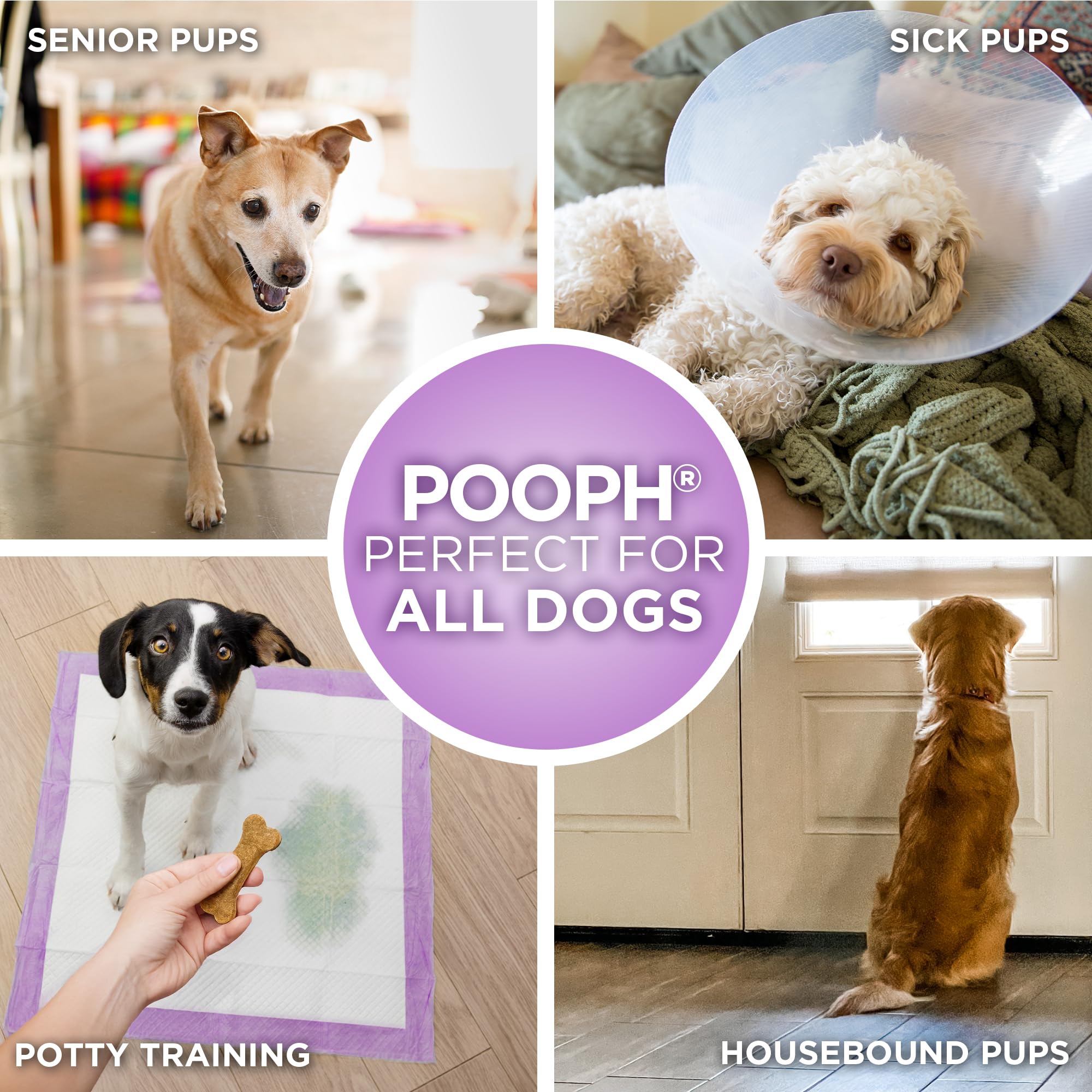 POOPH Potty Pads help reduce tracking and moisture buildup around pet zones.
