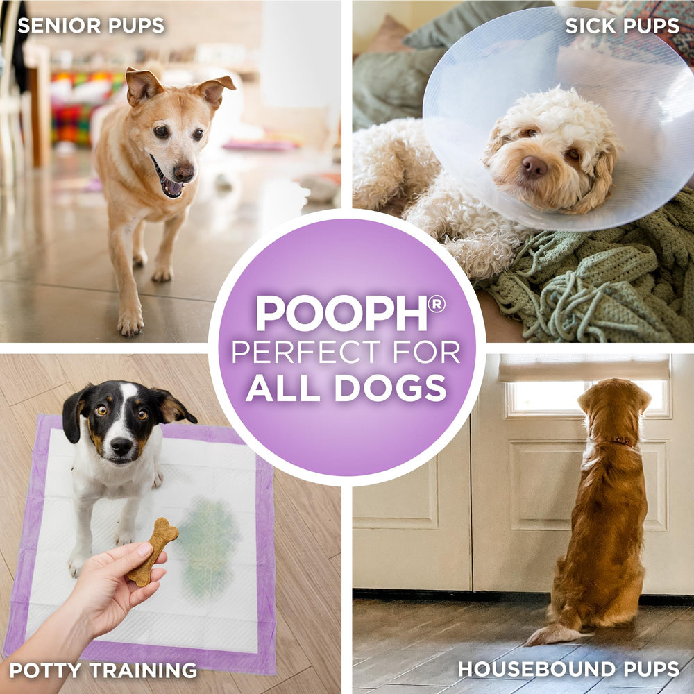 POOPH Potty Pads help reduce tracking and moisture buildup around pet zones.