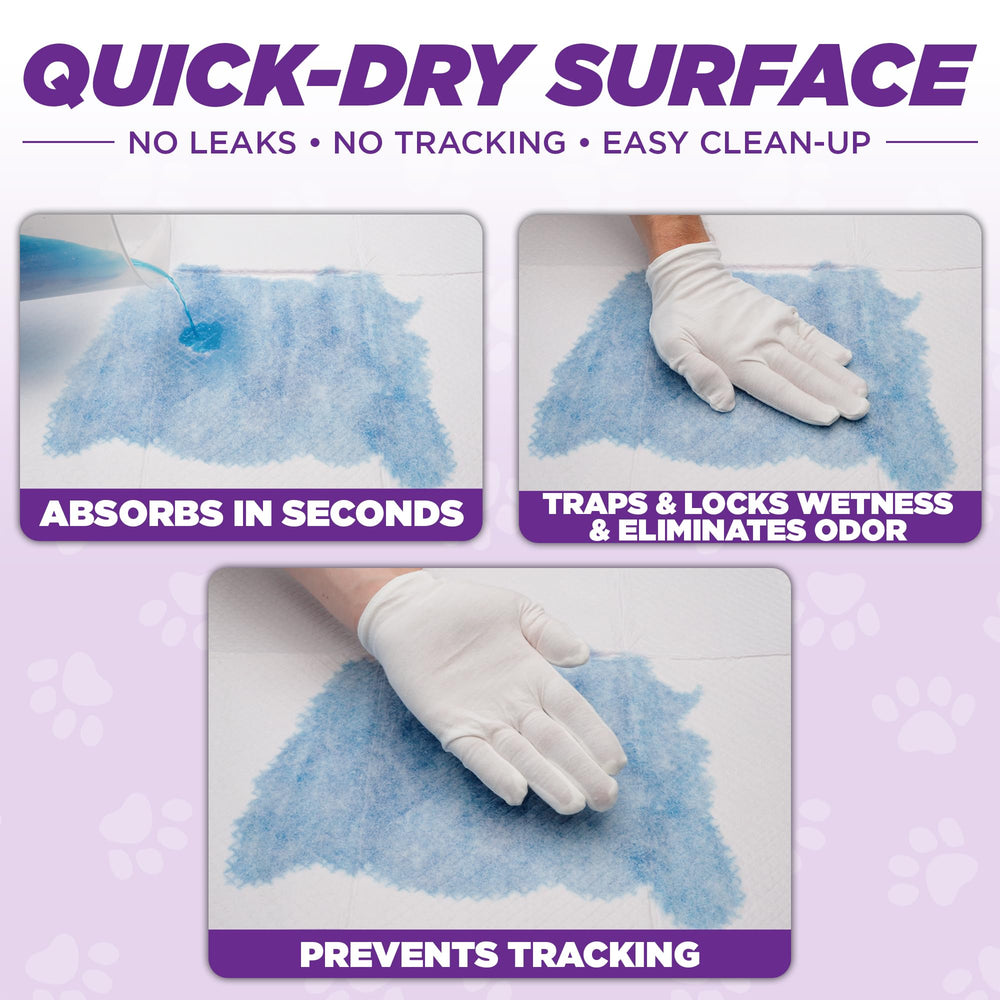 POOPH Potty Pads suitable for puppy training and indoor routines.