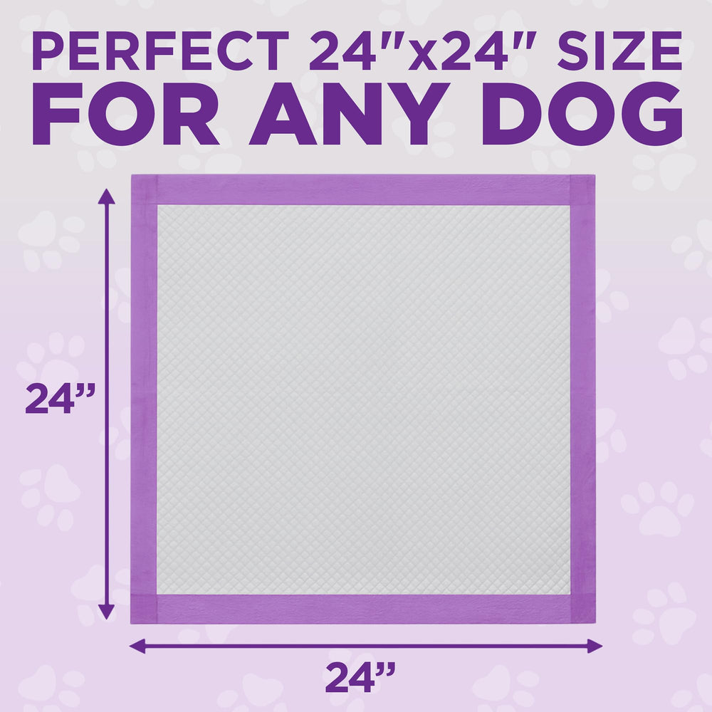 POOPH pads ideal for puppy training and housebreaking routines.