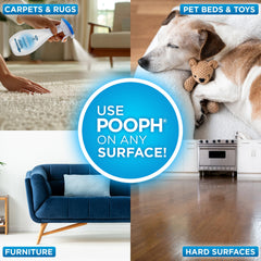 POOPH urine odor elimination on couch area with visible spray