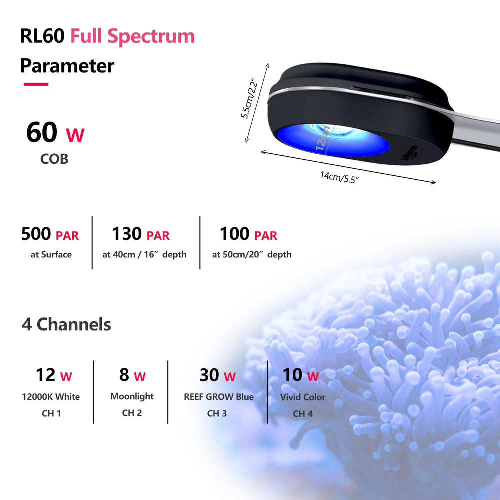 PopBloom RL60 aluminum frame close-up for durable build and sleek look