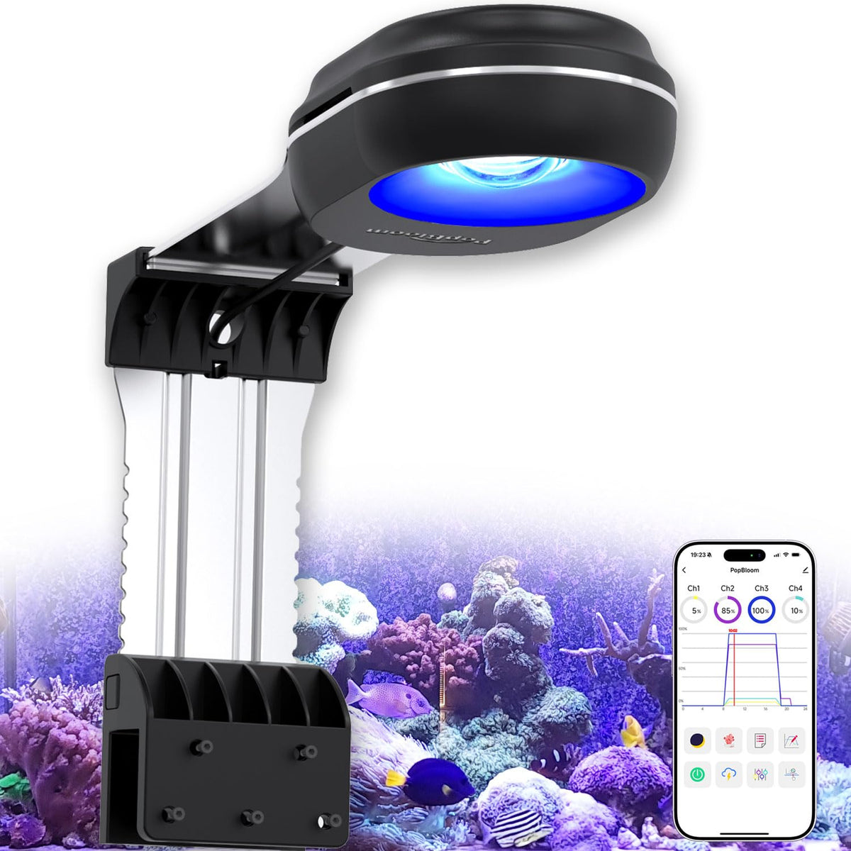 PopBloom RL60 LED light front view showing broad coverage for coral tanks