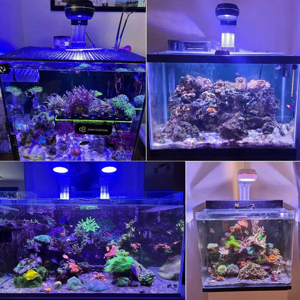 PopBloom RL60 quiet fan cooling during reef tank operation
