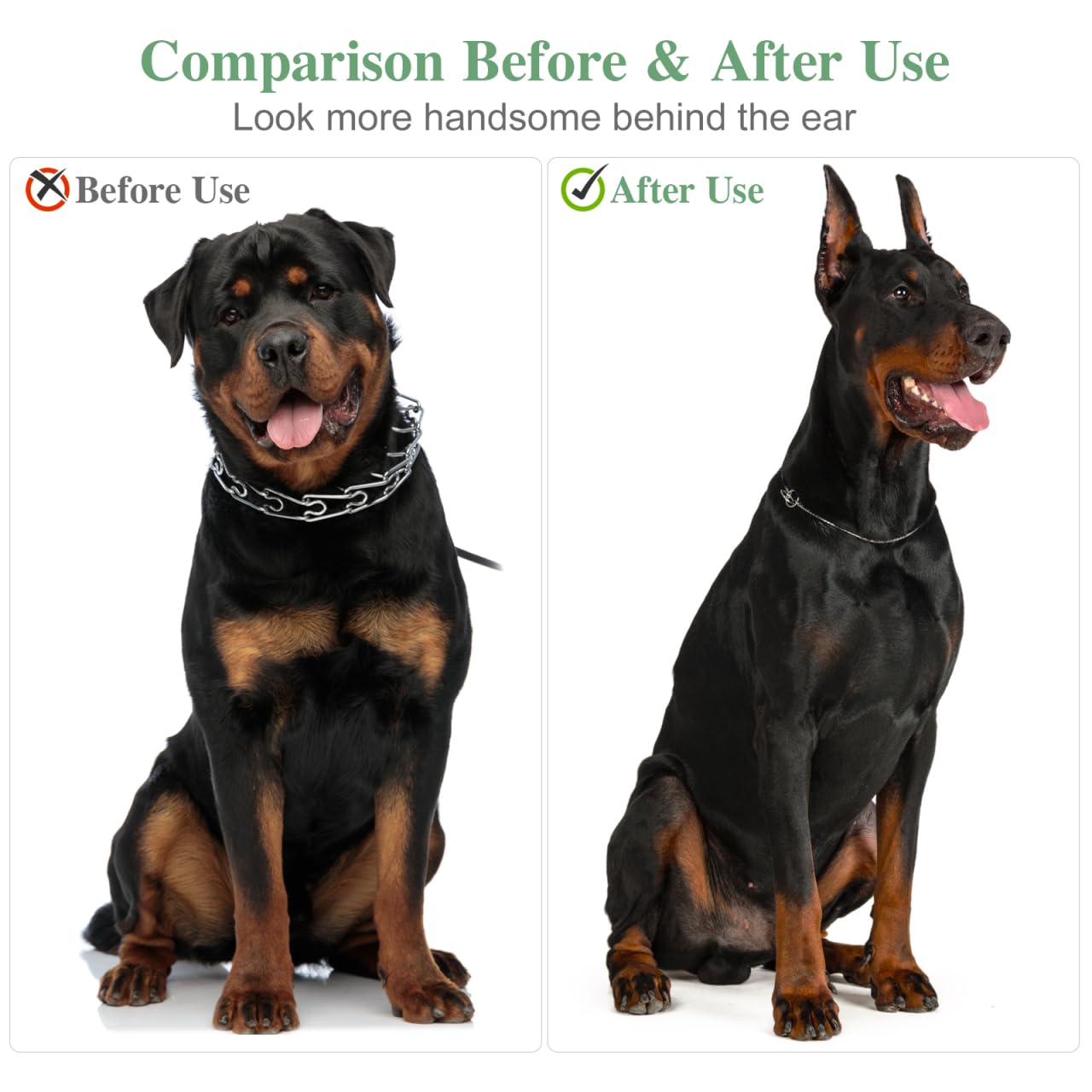 POPETPOP dog ear tape application for simple, pet-friendly positioning.