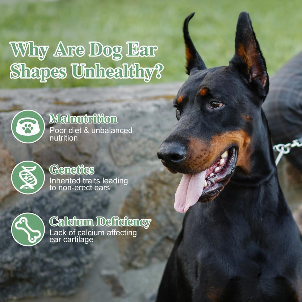 POPETPOP easy-application ear support reduces fuss during fitting.