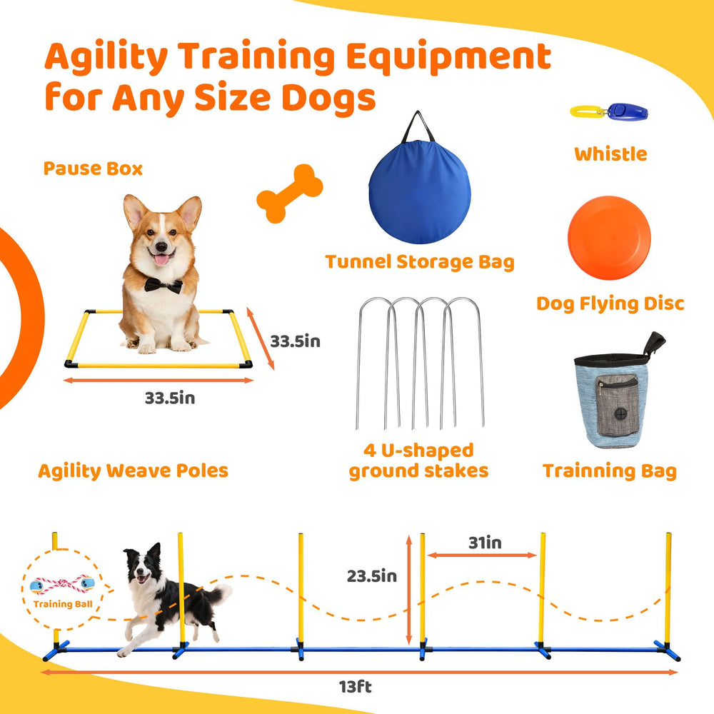 PopMoon pause box offers a calm training station during obedience drills.