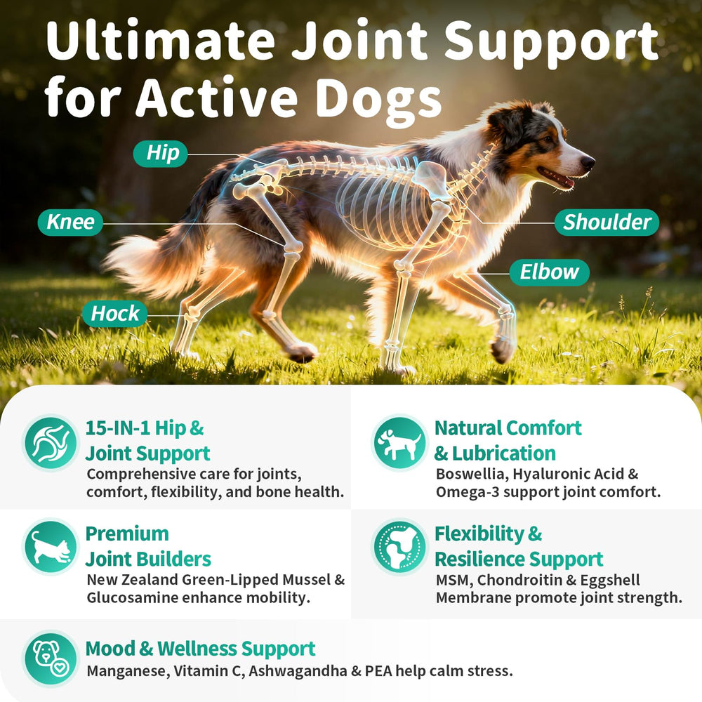 POPPAW dog joint chews in chicken flavor ready to help mobility.