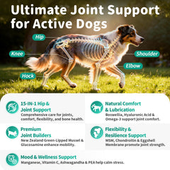 POPPAW dog joint chews in chicken flavor ready to help mobility.