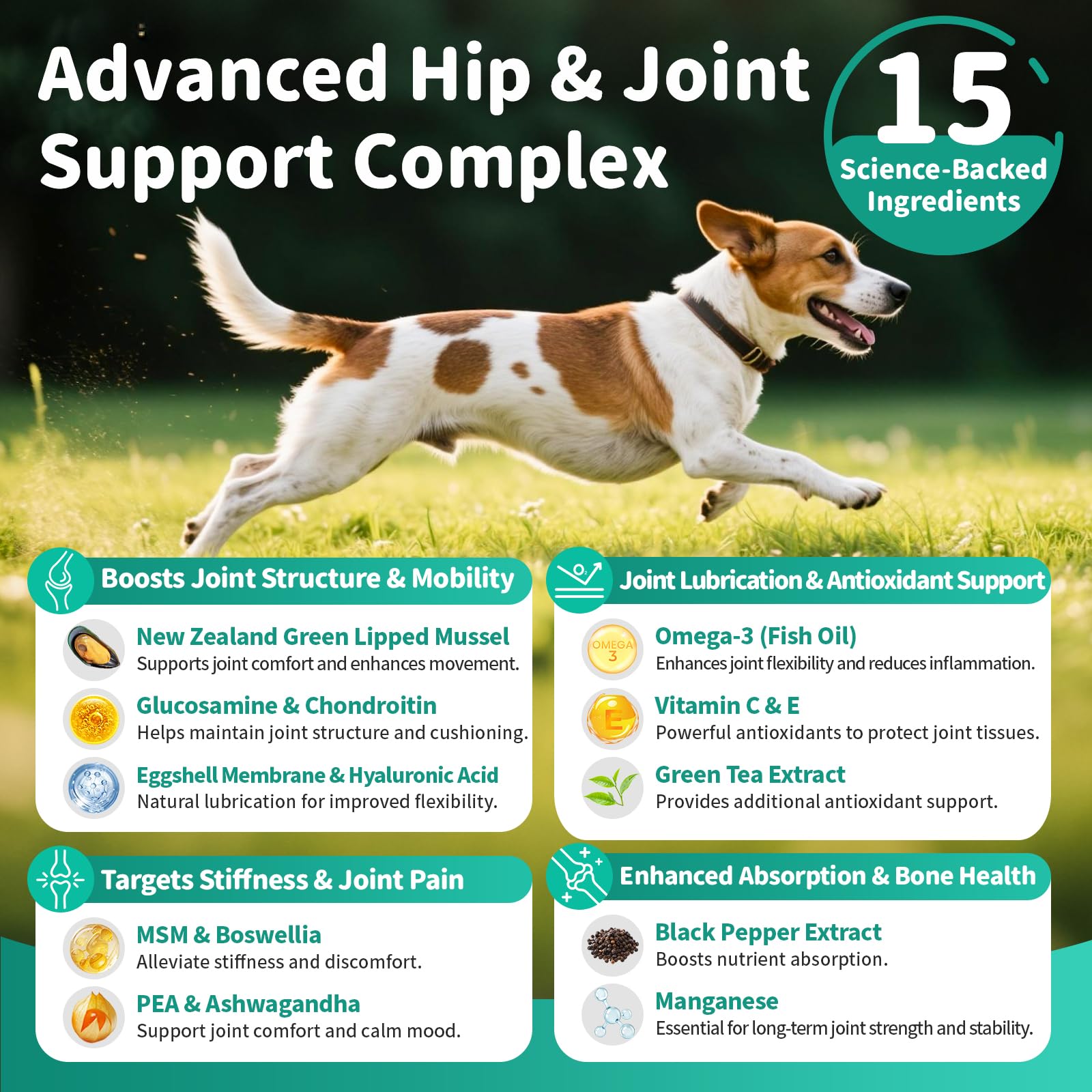 POPPAW joint supplement label closeup highlighting 15-in-1 formula.