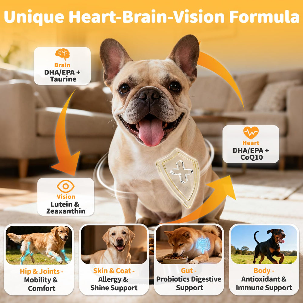 POPPAW chicken-flavor chews ideal for easy daily supplementation.