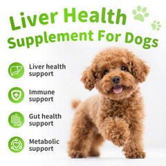 POPPAW Liver Support Chews closeup highlights delicious chicken flavor.