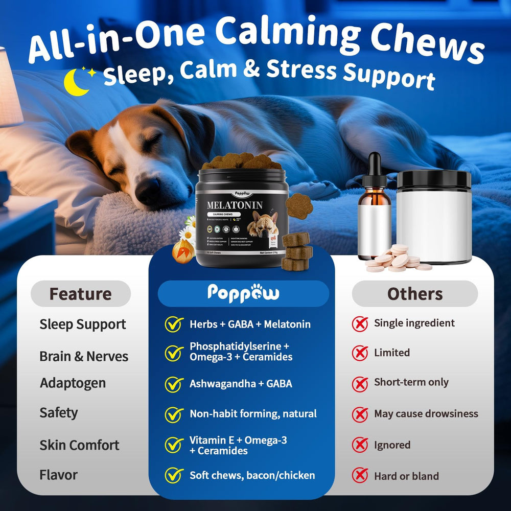 POPPAW travel-stress chews support smoother car rides for dogs