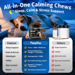 POPPAW travel-stress chews support smoother car rides for dogs