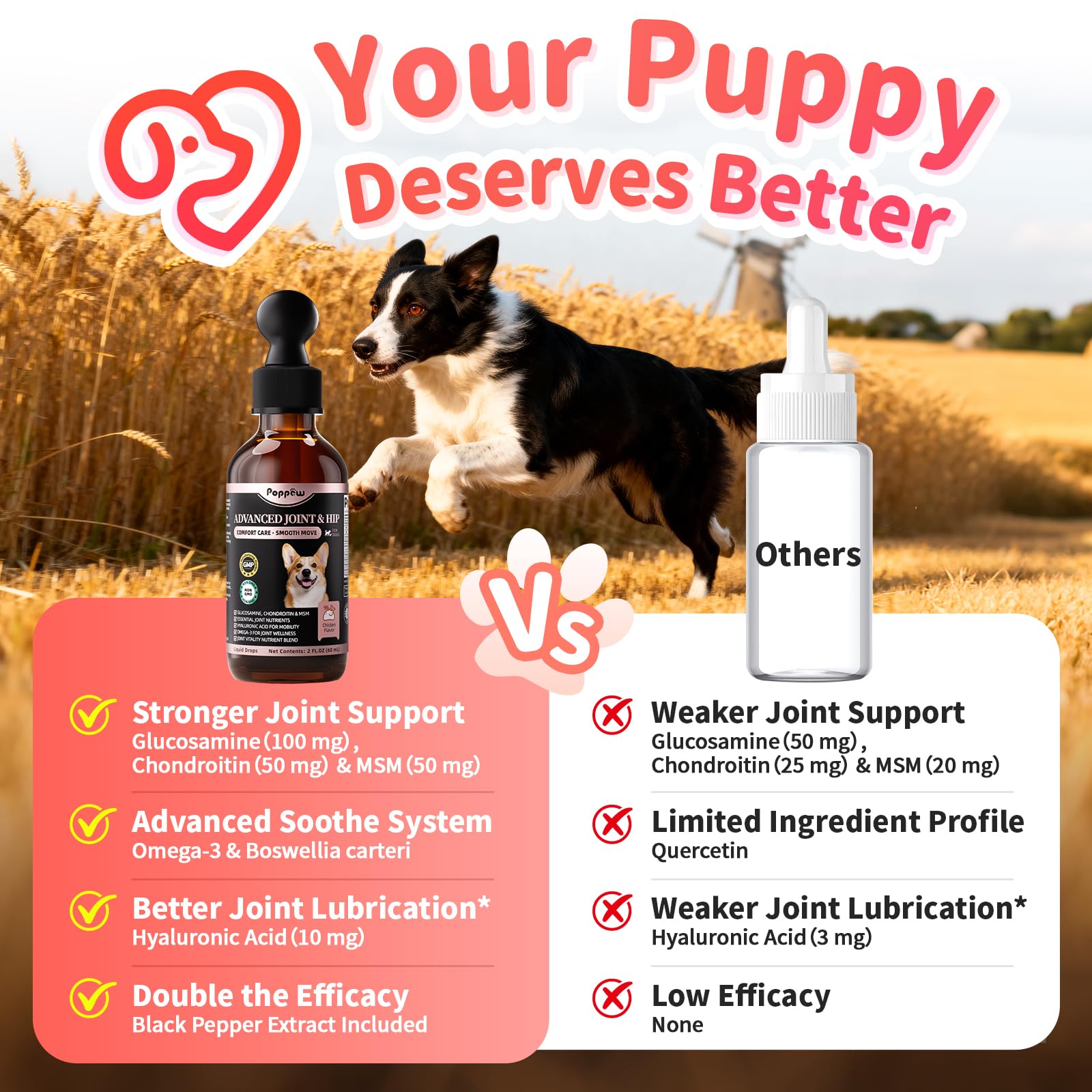 Poppaw glucosamine and chondroitin for dogs supports cartilage structure