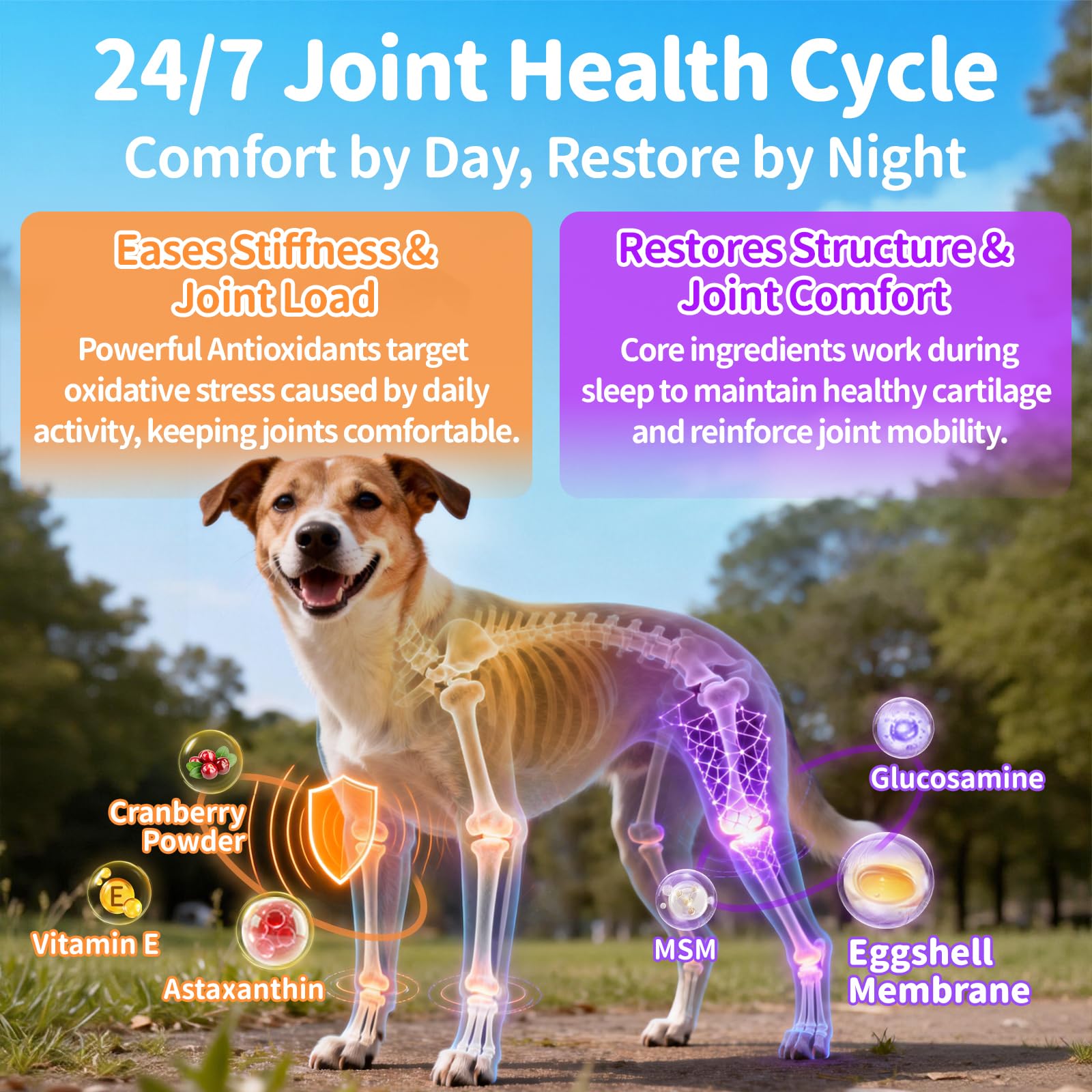 Poppaw Glucosamine MSM joint support aids comfortable movement