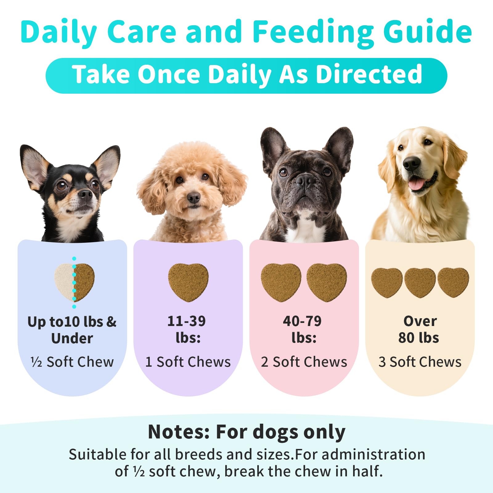 POPPAW immune support graphic hints winter wellness for pets.