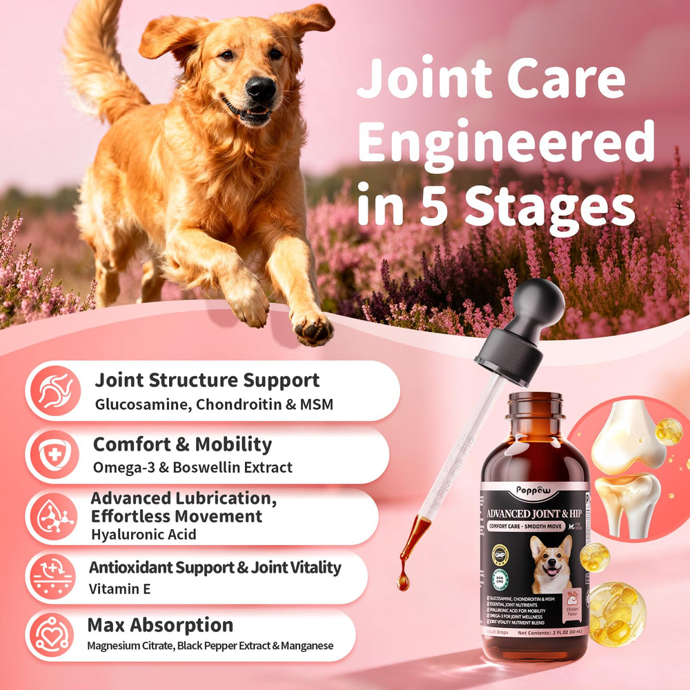 Poppaw omega-3 for dogs supports flexibility and coat health