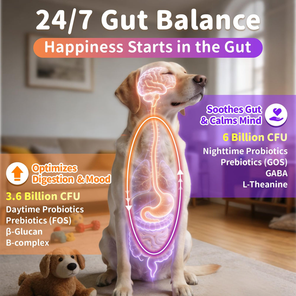 Poppaw Probiotics digestive and immune support for gut balance