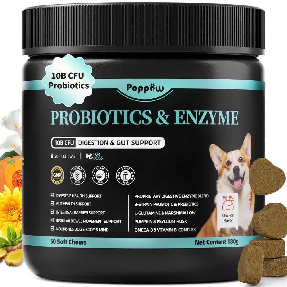POPPAW probiotic dog bottle shows daily gut balance potential.