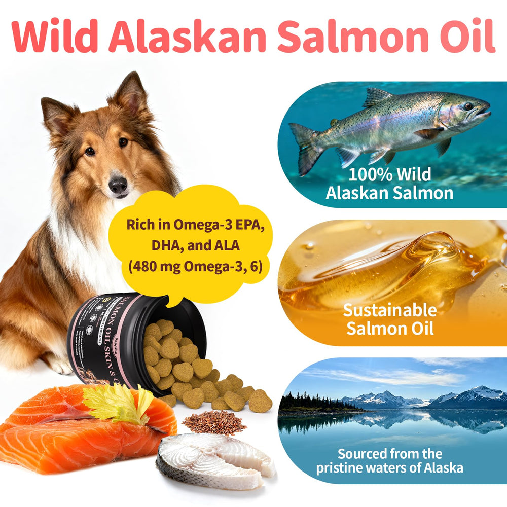 POPPAW Salmon Oil rich in EPA and DHA supports overall omega-3 nutrition.