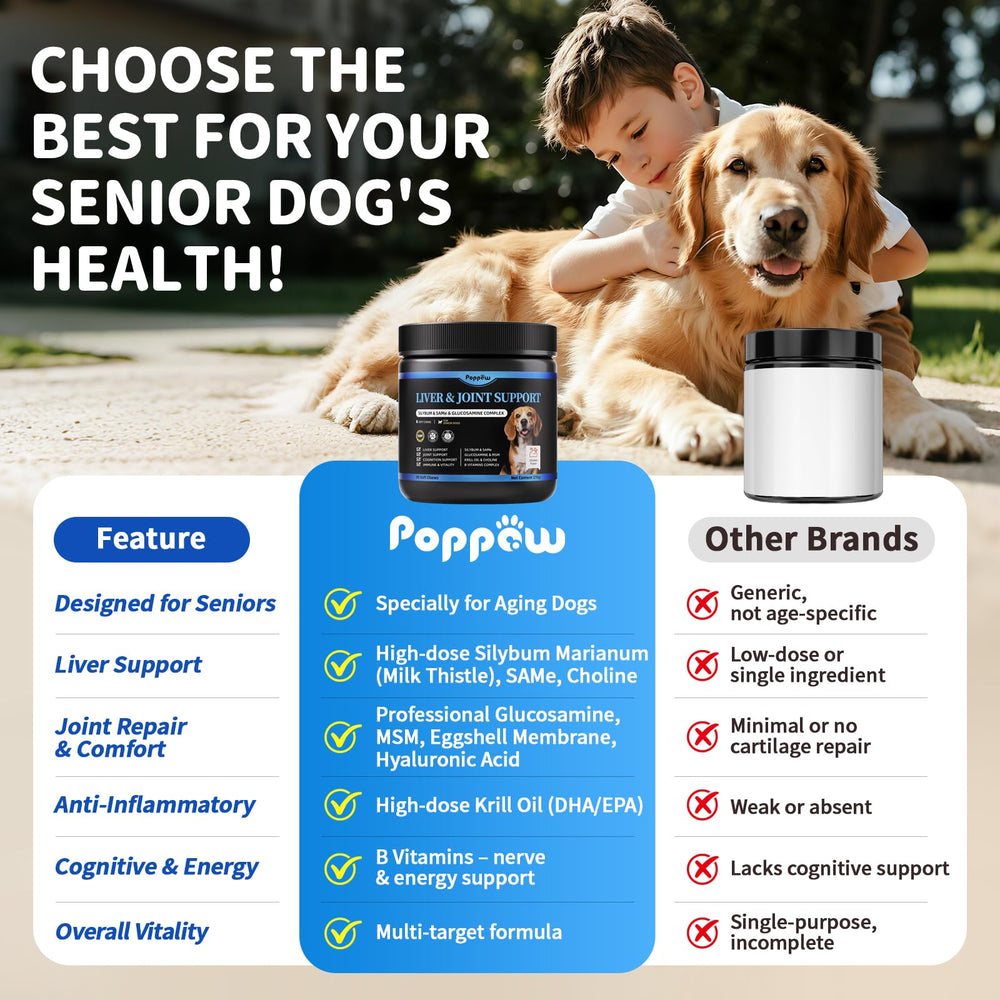 POPPAW milk thistle silybin promoting liver wellness in seniors