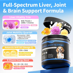 POPPAW MSM soft chews aiding joint comfort and flexibility
