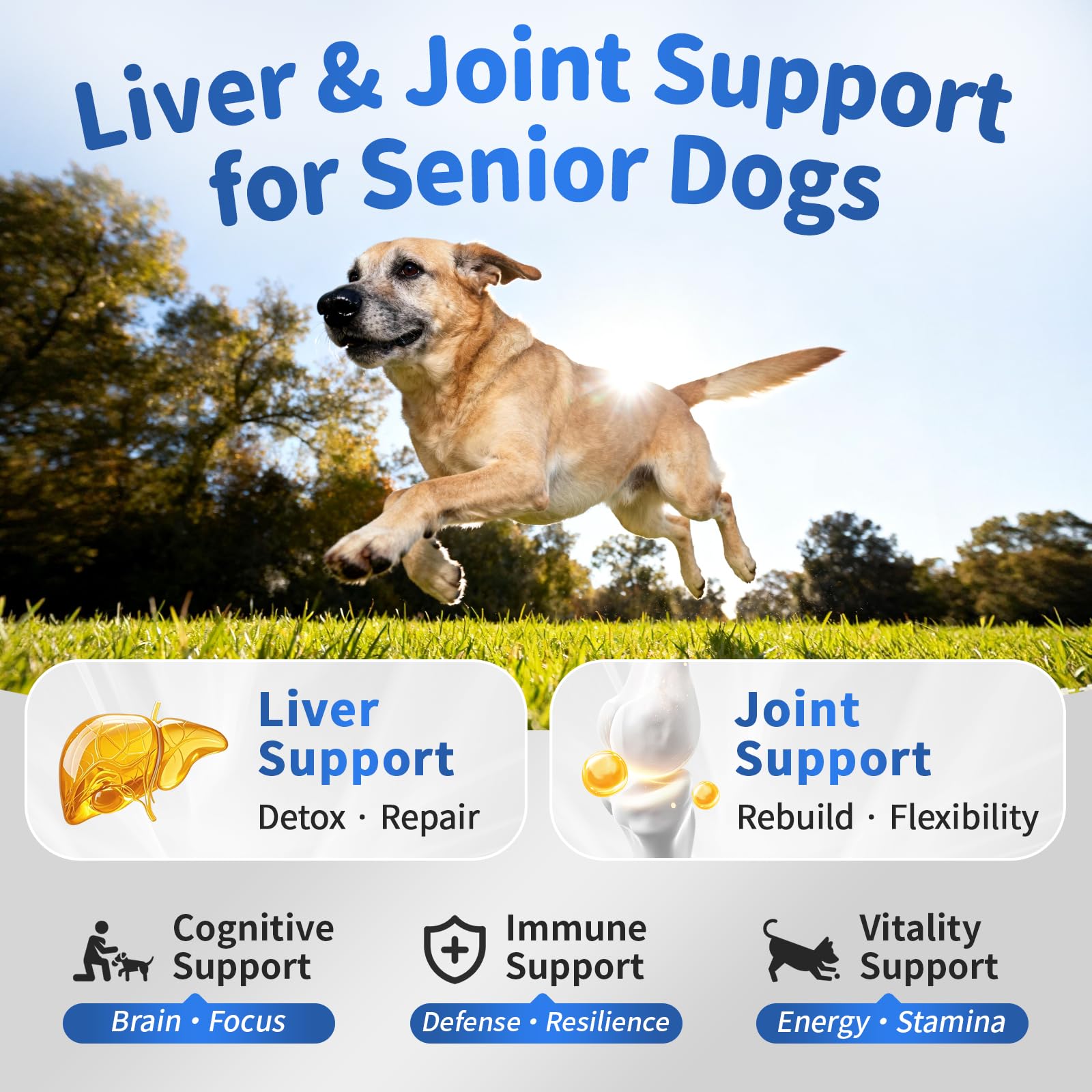 POPPAW soft chews chicken flavor, easy to give for daily support