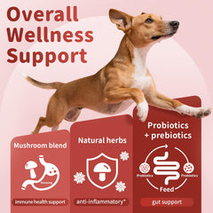 Poppaw turkey tail mushroom blend illustration highlights immune-support ingredients