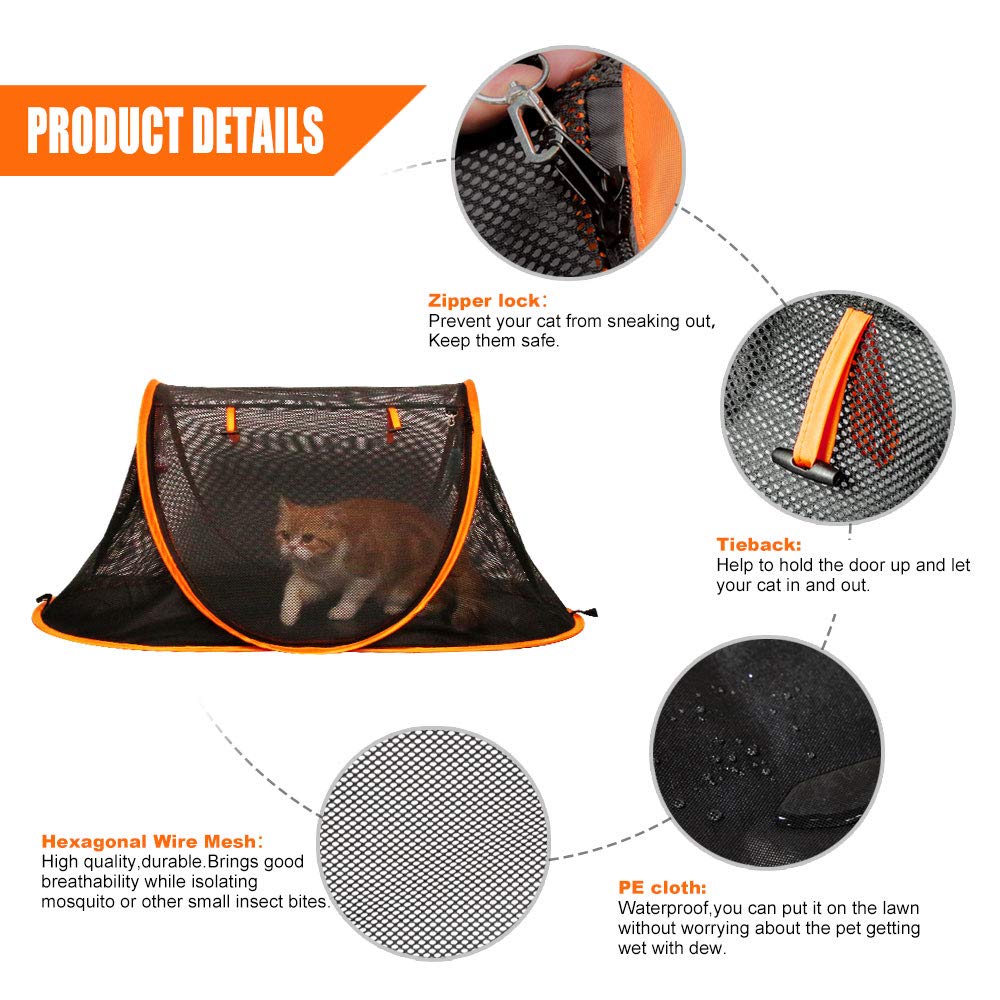 Porayhut cat toys inside tent for playful enrichment.
