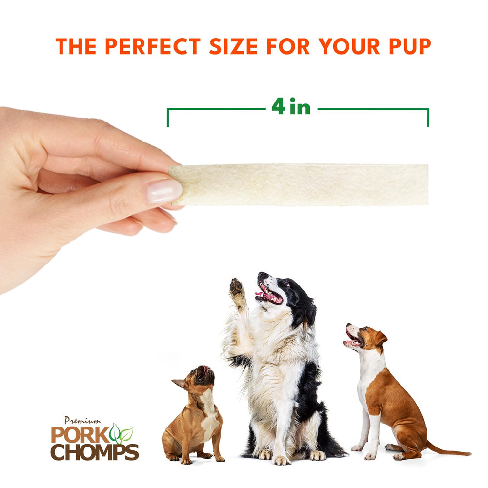 Dog enjoying Pork Chomps chew during playtime.