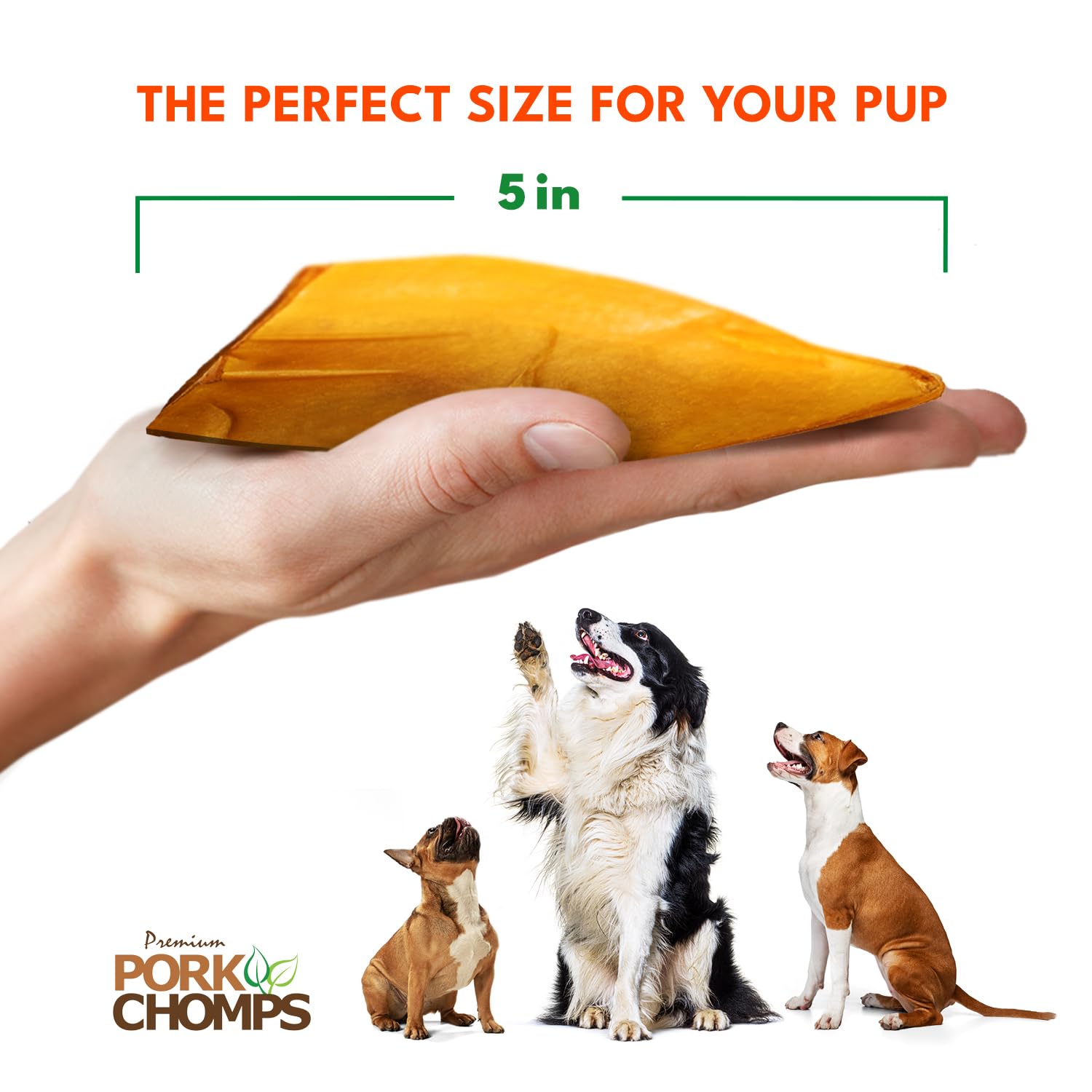 Dogs enjoy Pork Chomps ear-shaped chews, suitable for all sizes.