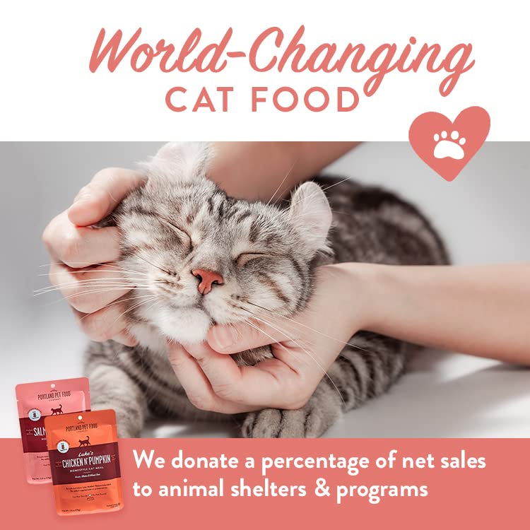 Serving Portland Pet Food Company cat food pouch as a mixer in a bowl.