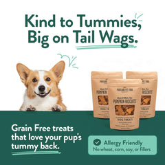 Training-ready Portland treats with grain-free formula for all sizes