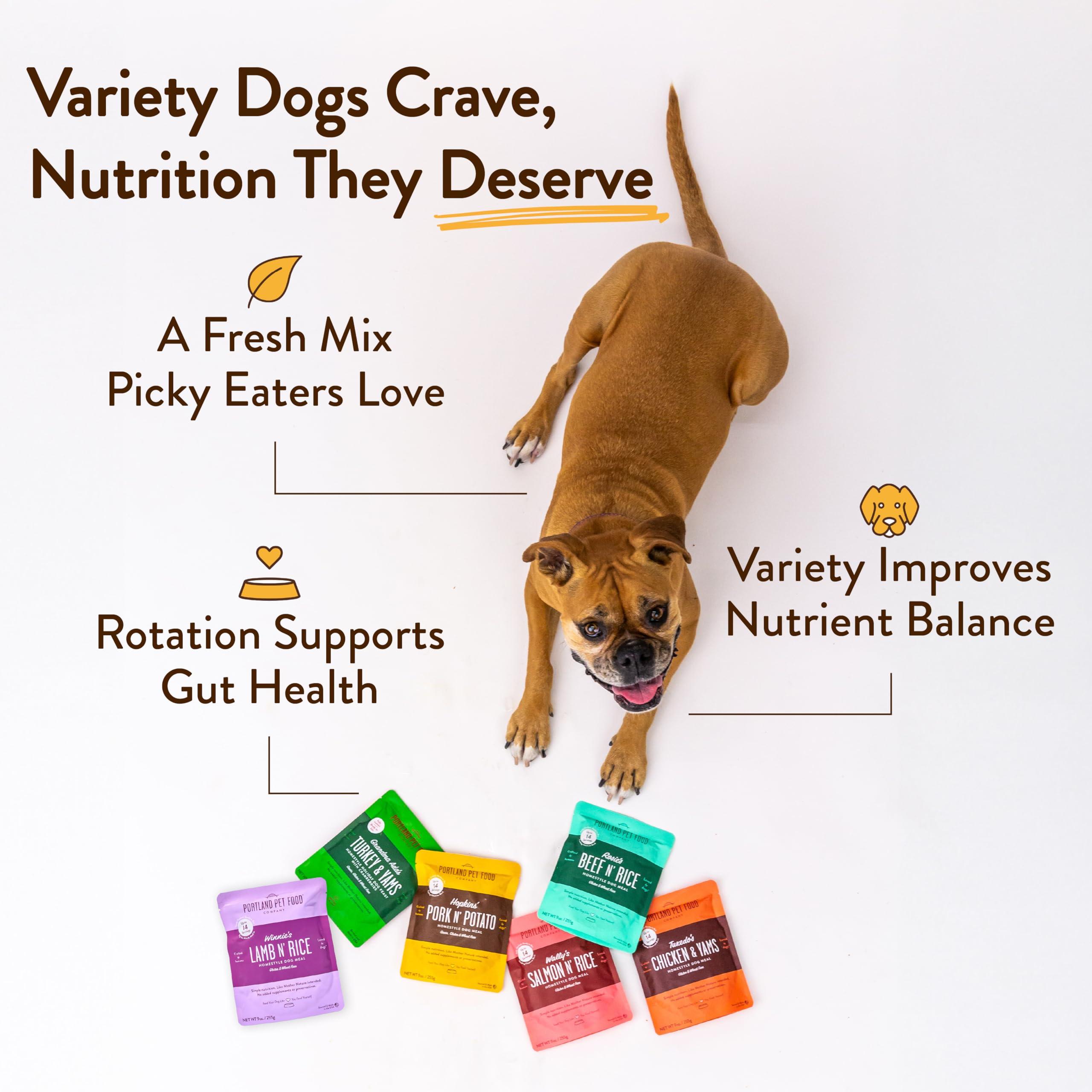 Grain-free Hopkin's Pork N’ Potato supports simple nutrition for dogs.