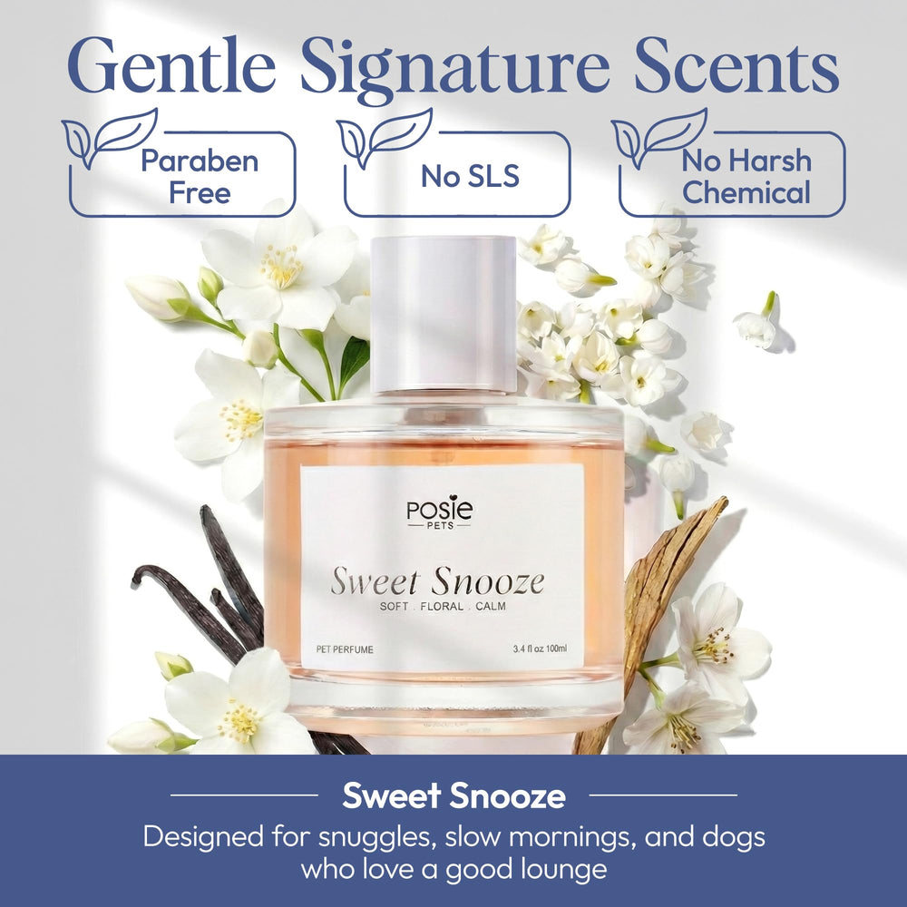 Posie Pets dog cologne spray application distance shows easy refreshing from 6–8 inches.