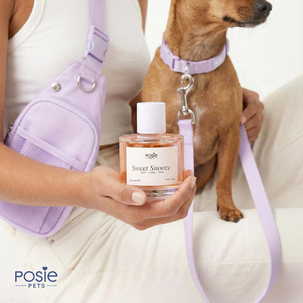 Posie Pets puppy grooming fragrance ready for quick refresh after bath or walk.