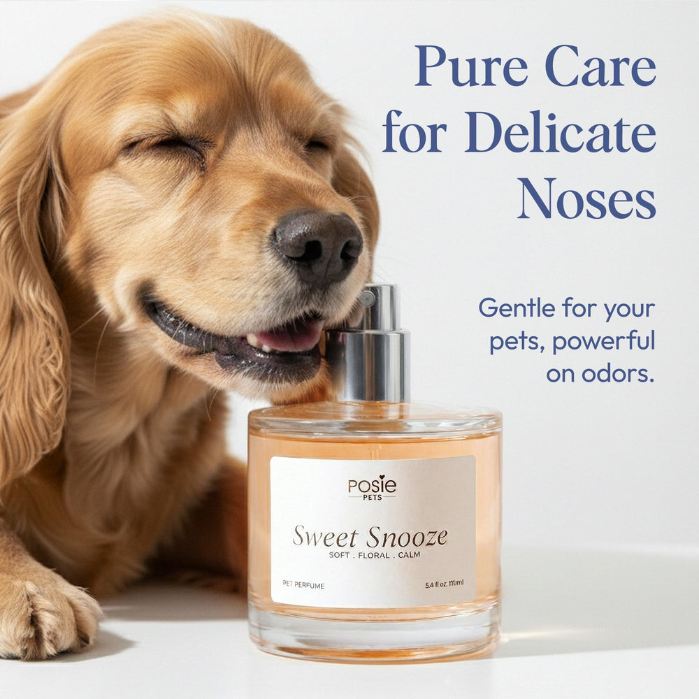 Posie Pets vegan alcohol-free formula emphasizes gentle care for dogs.