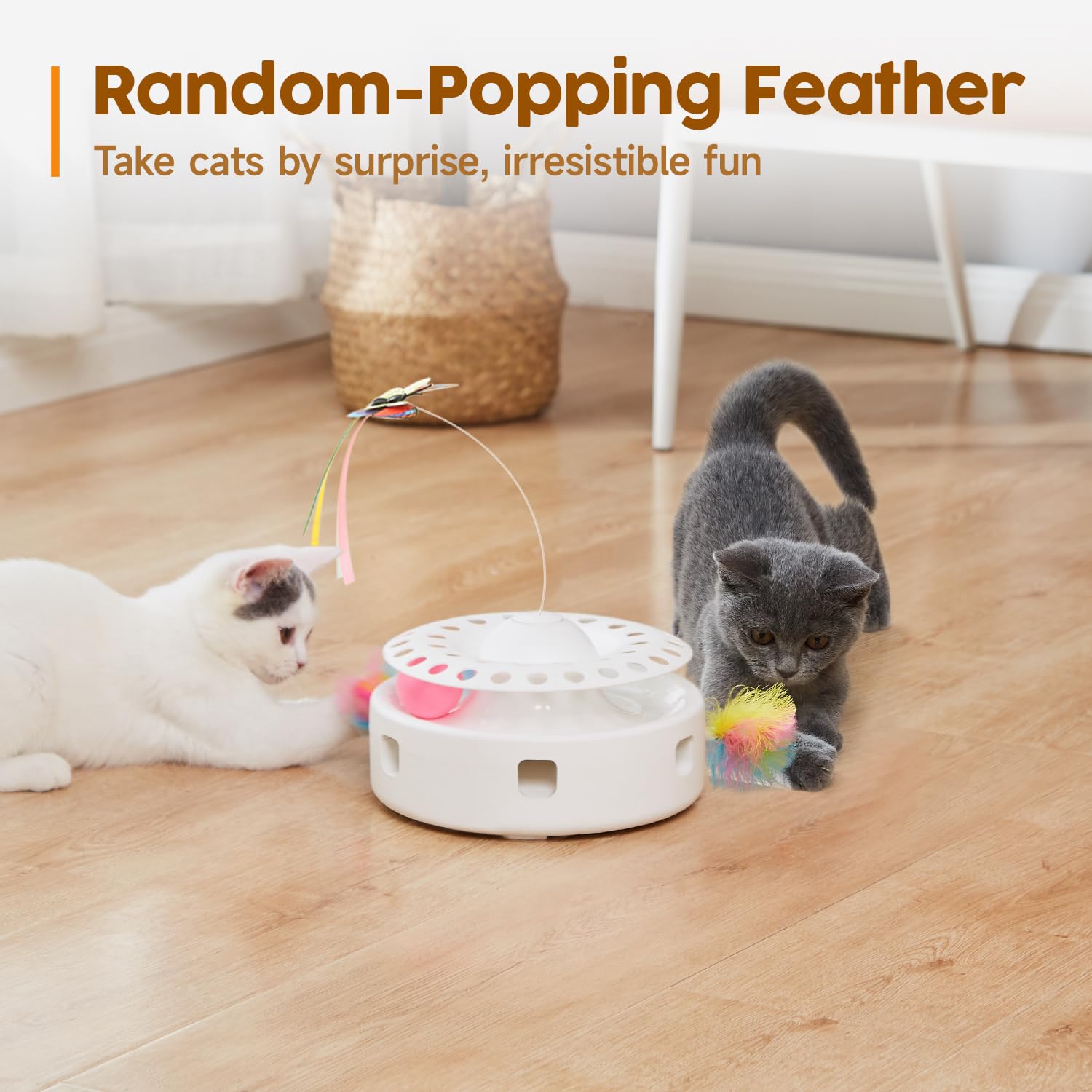 Potaroma dual power cat toy works with batteries or wall power.