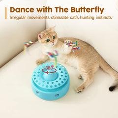 Potaroma track balls invite indoor chasing and paw interaction.