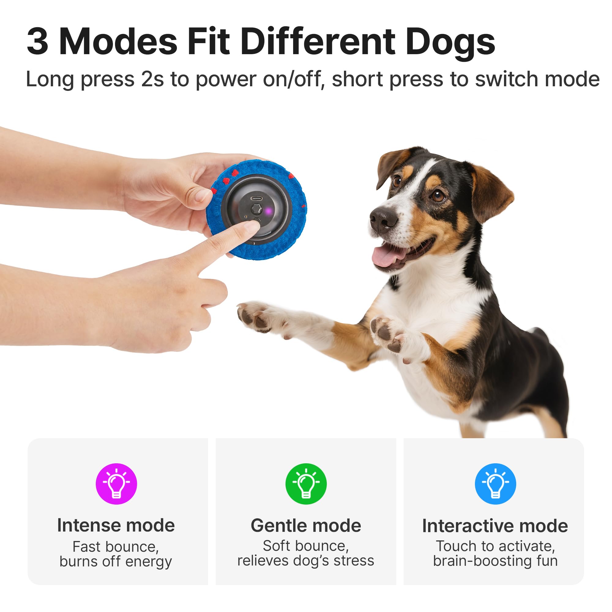 Potaroma dog ball toy with durable E-TPU construction for aggressive chewers.