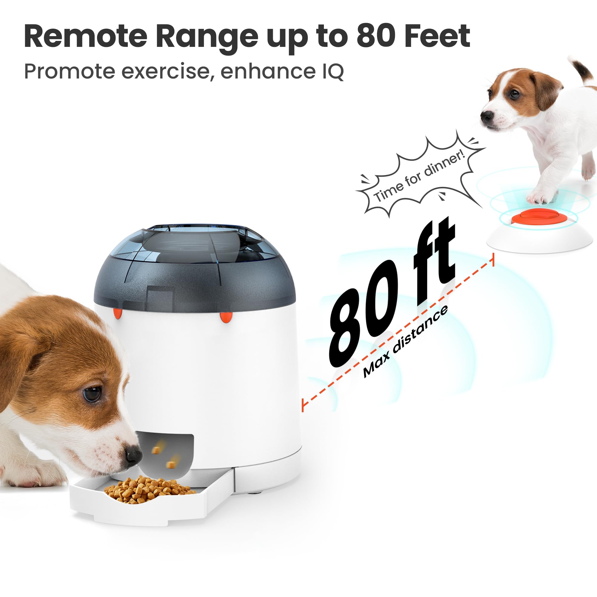 Potaroma puzzle feeder remote-control play highlights outdoor training and engagement.