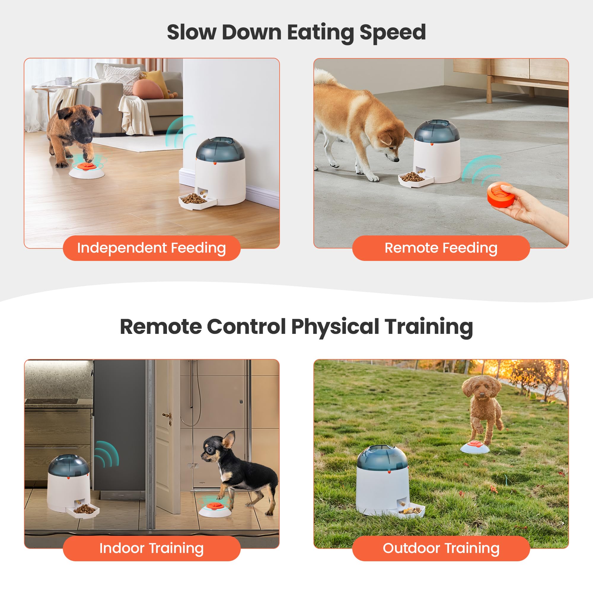 Potaroma USB-rechargeable puzzle feeder for convenient, unattended play.