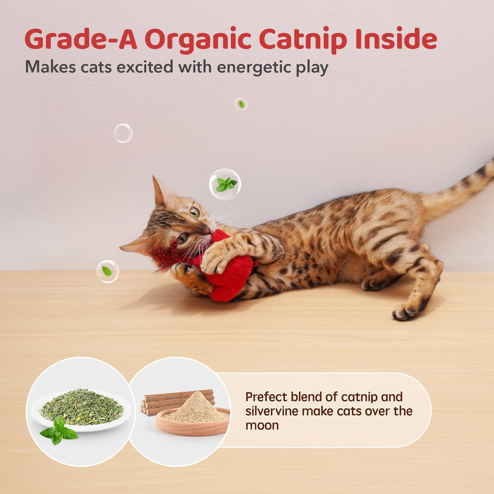 Potaroma Indoor Play for cats keeps them entertained when humans are busy.