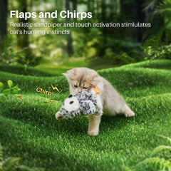 Potaroma owl chirps when played with, inviting pounces and chase.