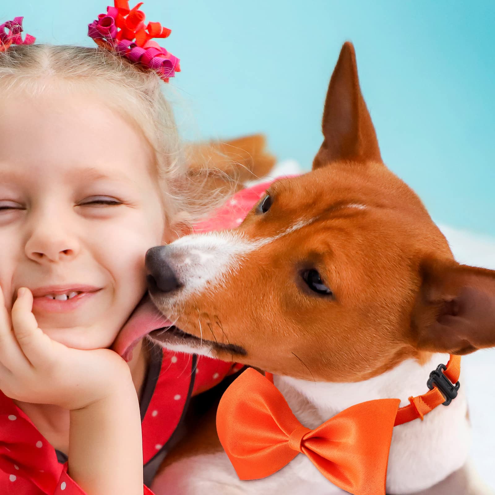 Potchen dress-up gifts for pets to enhance parties and special events